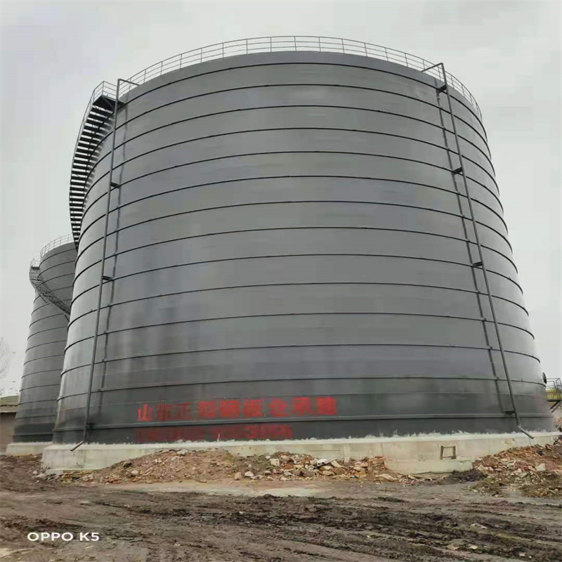 鄱阳3万吨大型钢板库