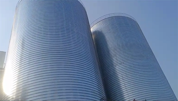 鄱阳2座混凝土高架卷板仓